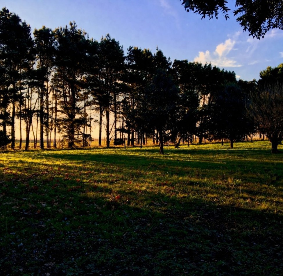 Terreno en Los Pinares Barrio Cerrado- Barrio Bosque