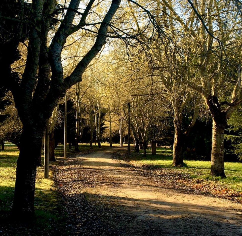 Terreno en Los Pinares Barrio Cerrado- Barrio Bosque