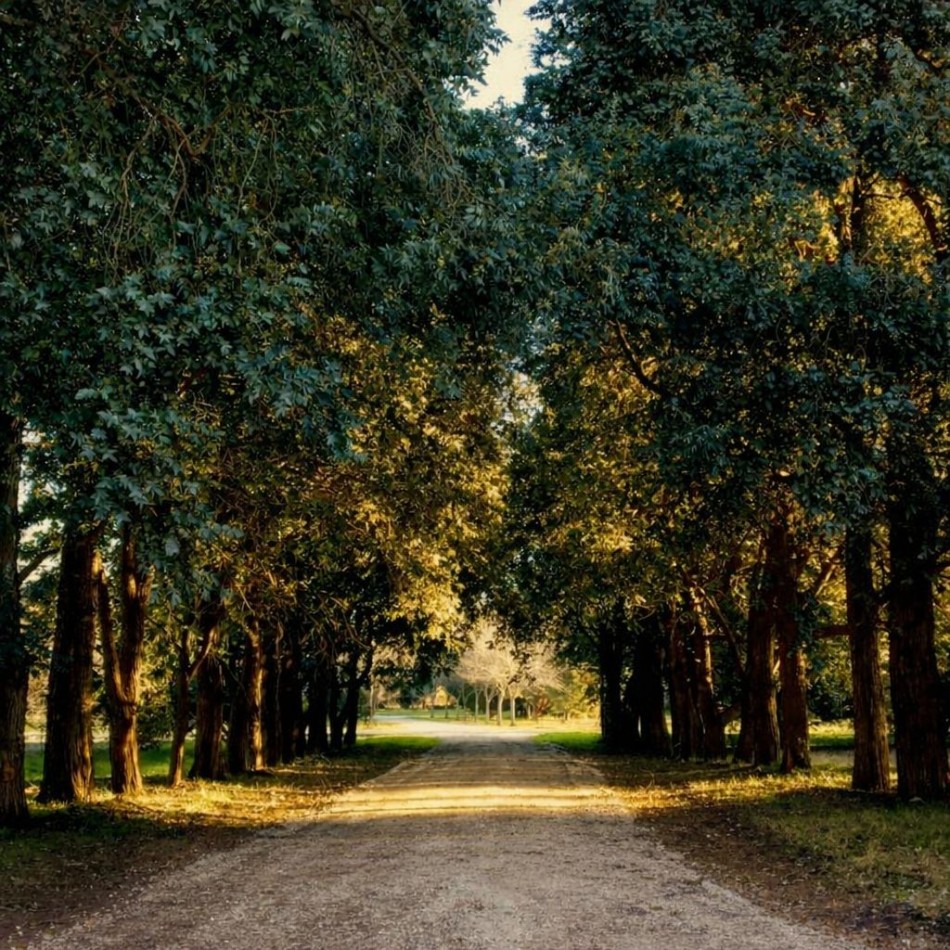 Terreno en Los Pinares Barrio Cerrado- Barrio Bosque