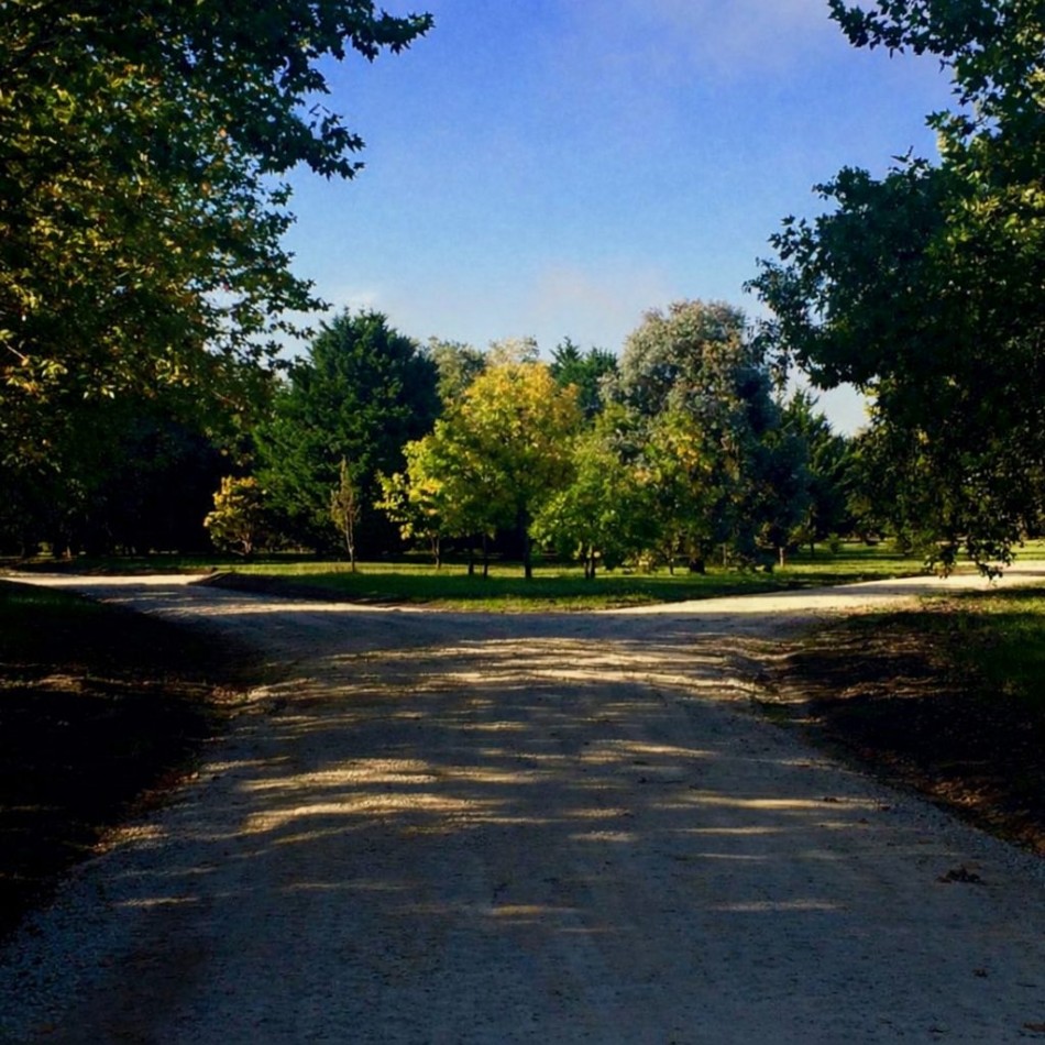 Terreno en Los Pinares Barrio Cerrado- Barrio Bosque