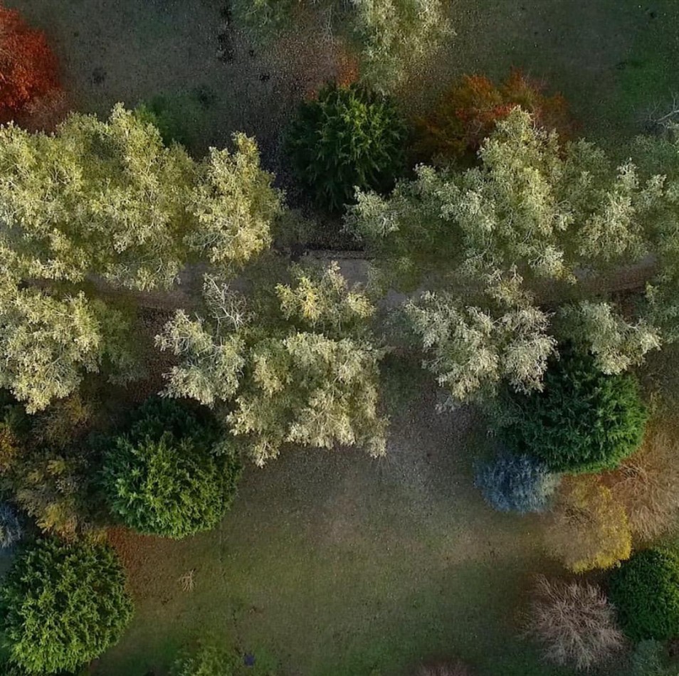 Terreno en Los Pinares Barrio Cerrado- Barrio Bosque