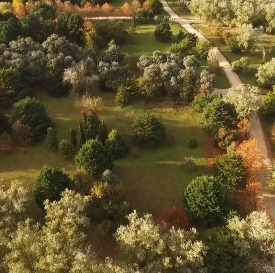 Terreno en Los Pinares Barrio Cerrado- Barrio Bosque