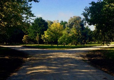 Terreno en Los Pinares Barrio Cerrado- Barrio Bosque